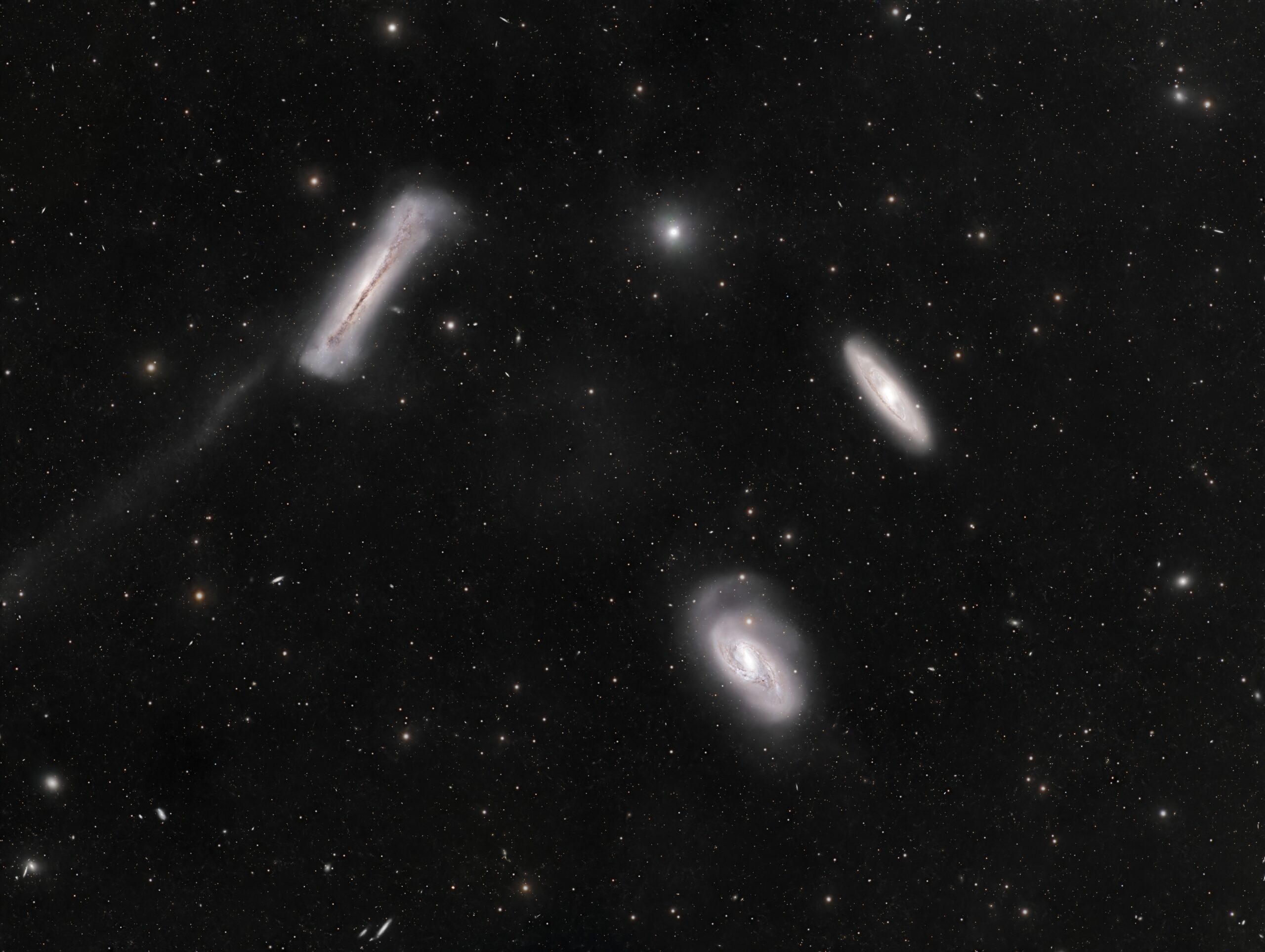 LeoTriplet